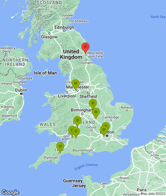 Newcastle Falcons_league.png